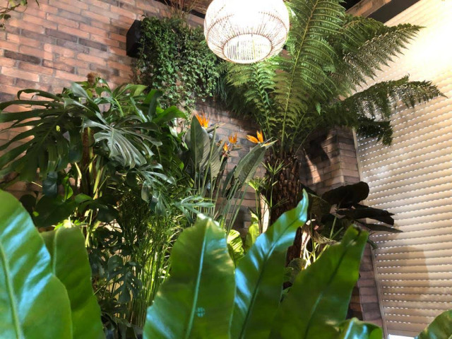 Le Patio de Paris resort-sunroom