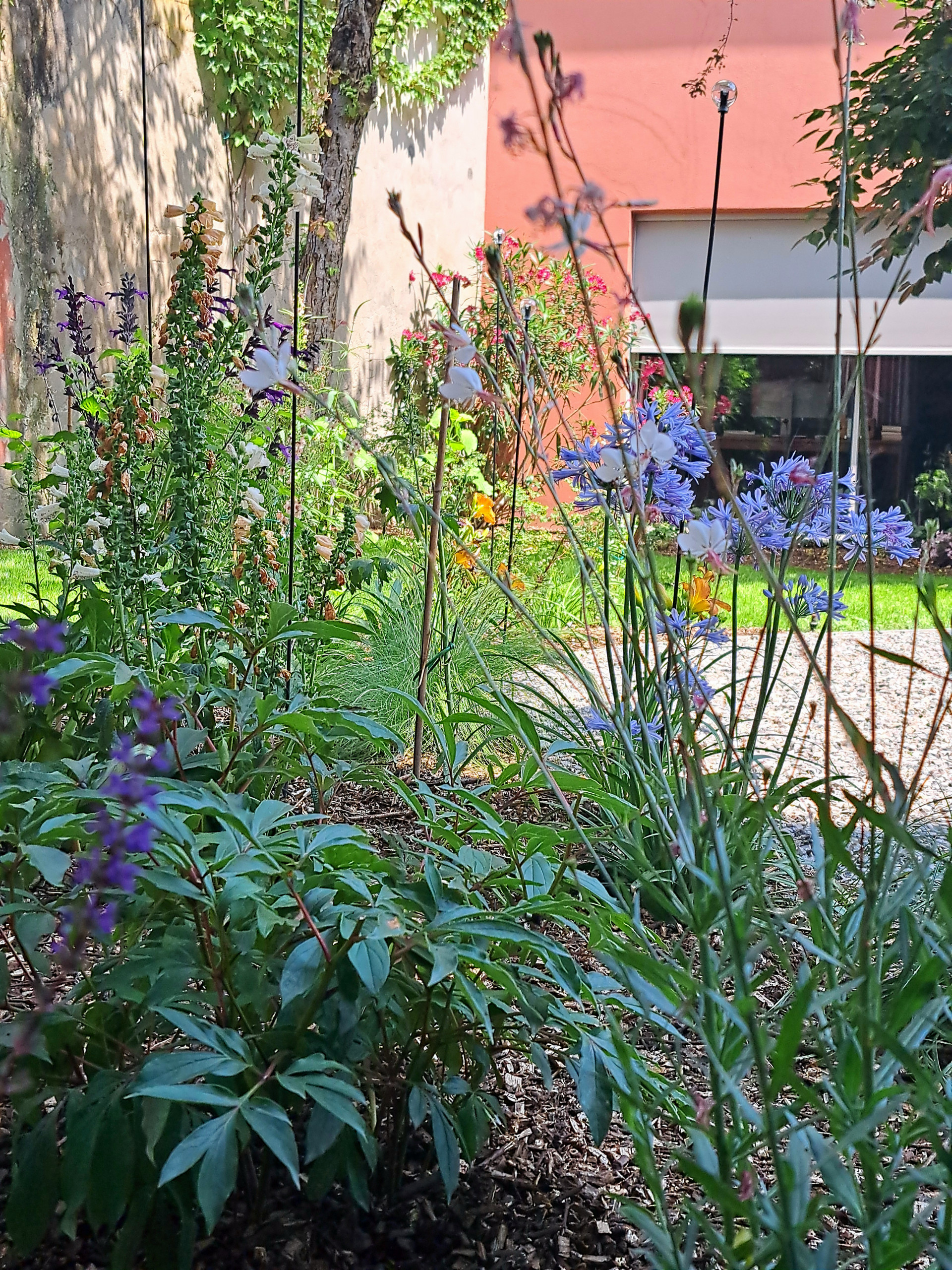 Giardino privato P.S.