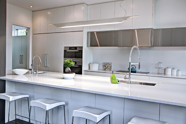 Rusch Projects Organic White Quartz Contemporary Kitchen