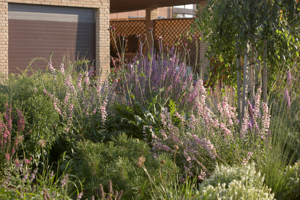 Отражение в каплях росы