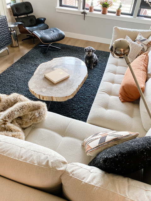 Held Home | Denver, CO | Modern Living Spaces Renovation