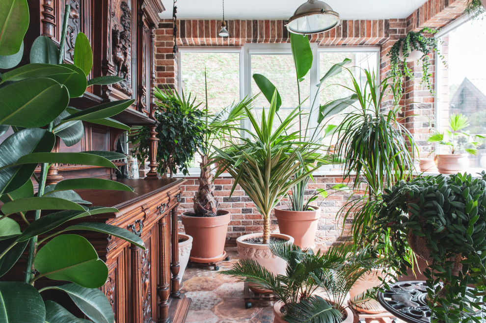 Интерьер зимнего сада