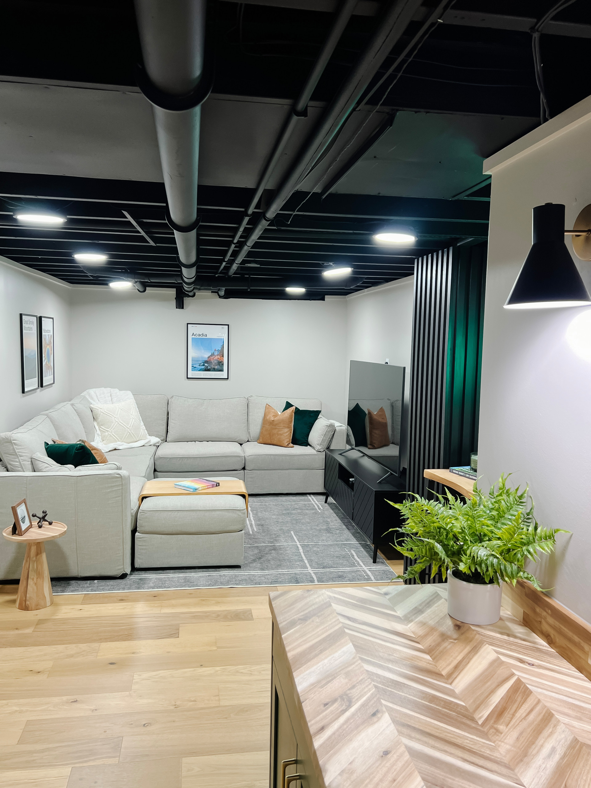 Family Rooms & Basements