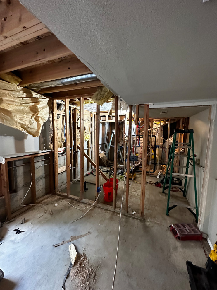 Federal Way Basement Remodel