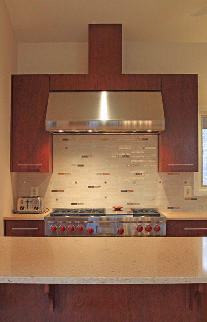 Fanning Kitchen 5 modern-kitchen