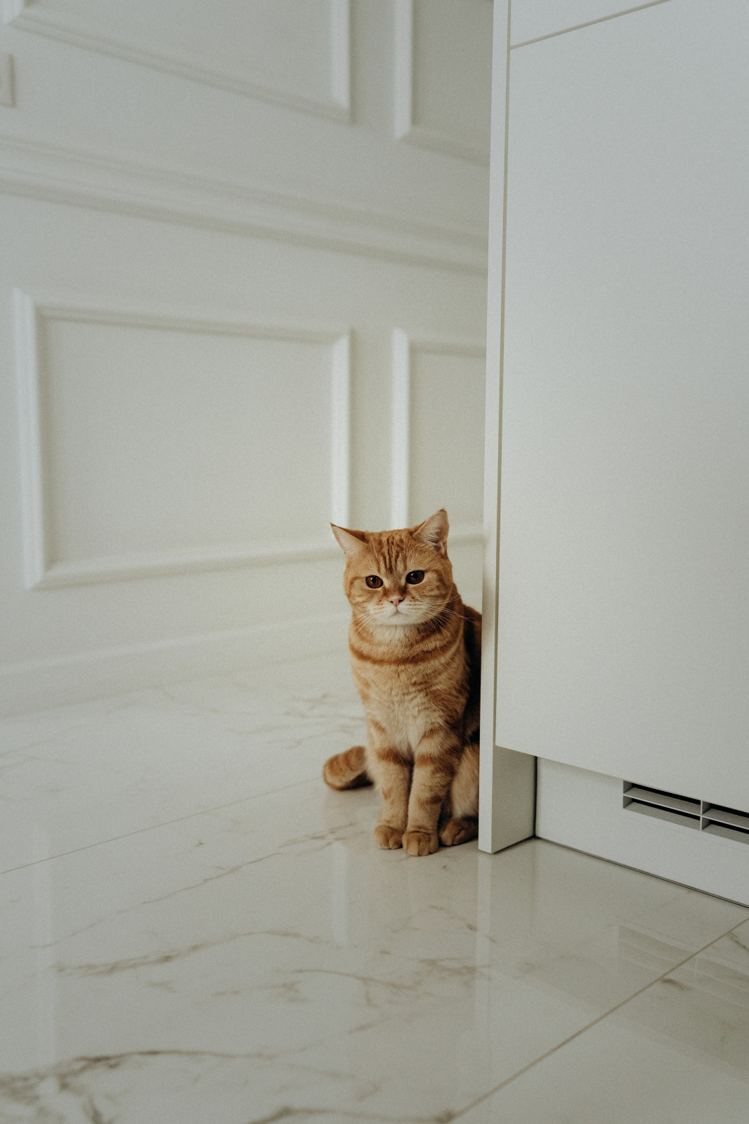 квартира в стиле неоклассика