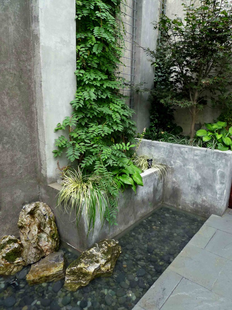 Inspiration for a contemporary garden in New York.