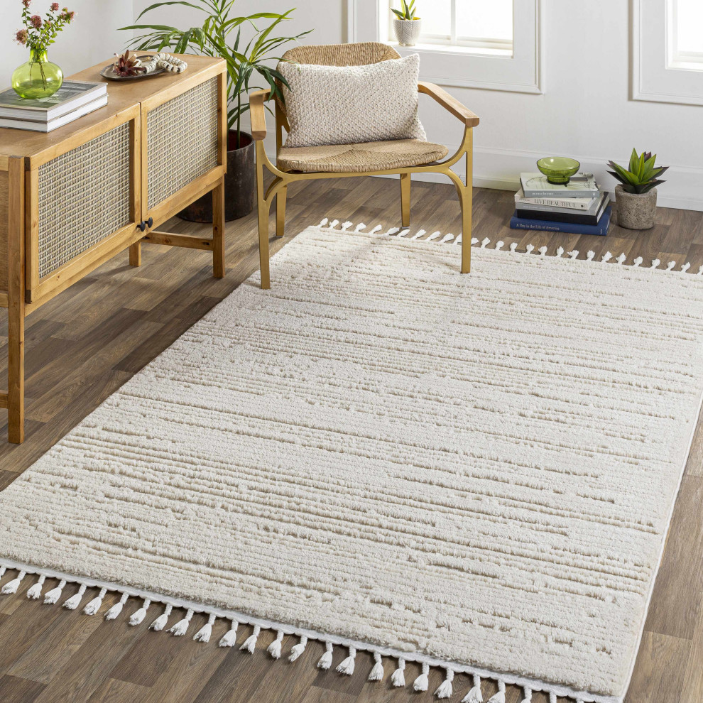Ibarra, 6'7"" x 9' Transitional Area Rugs by Hauteloom Houzz