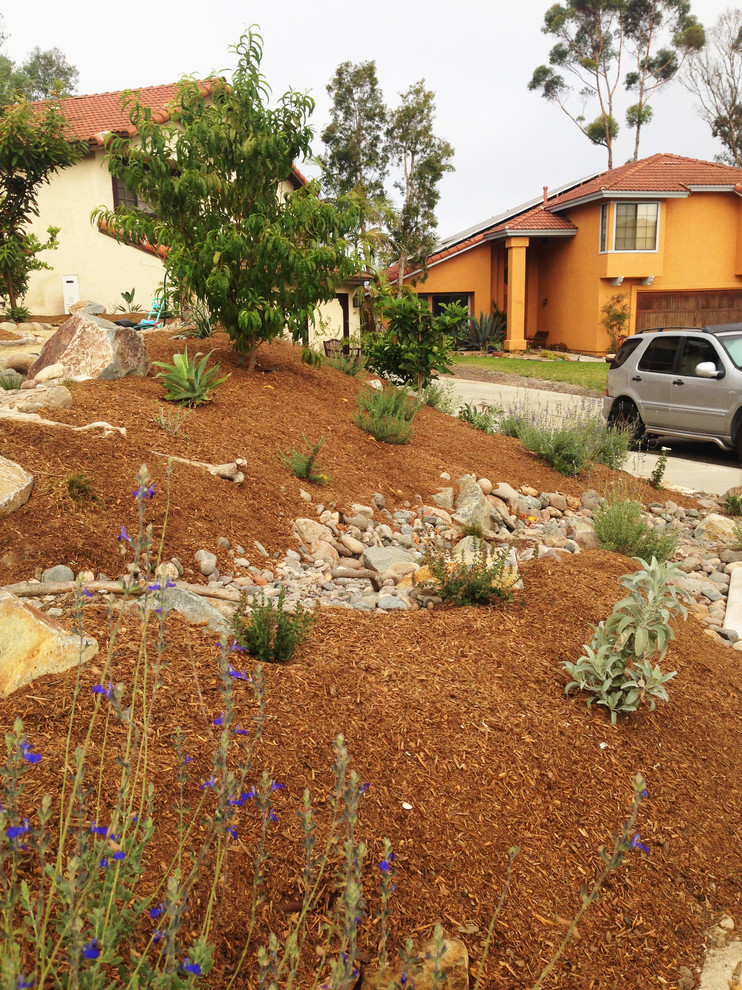 Design ideas for a mid-sized mediterranean front yard full sun xeriscape in San Diego with a garden path and mulch.