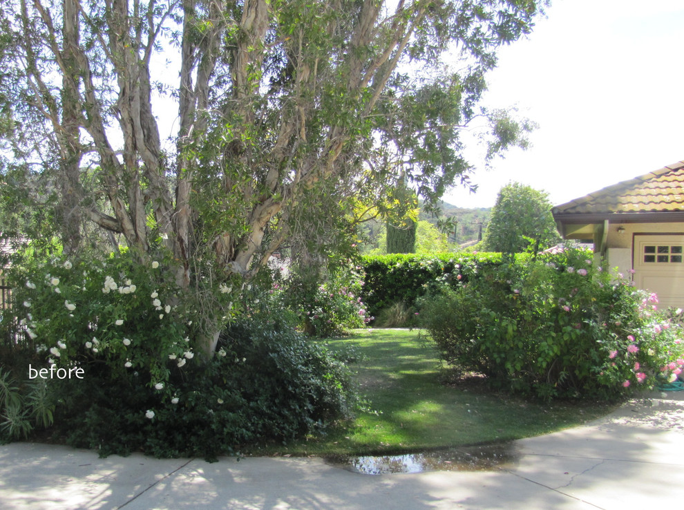 LINDA ESTRIN - JAMESON GARDEN BEFORE