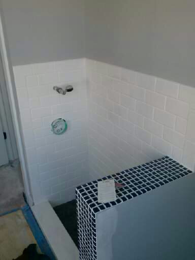 Dog Wash Station