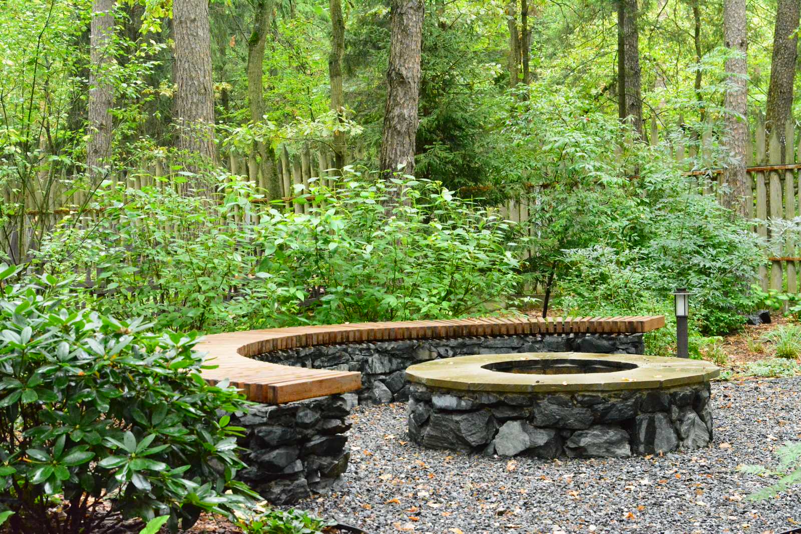 Заповедный бор