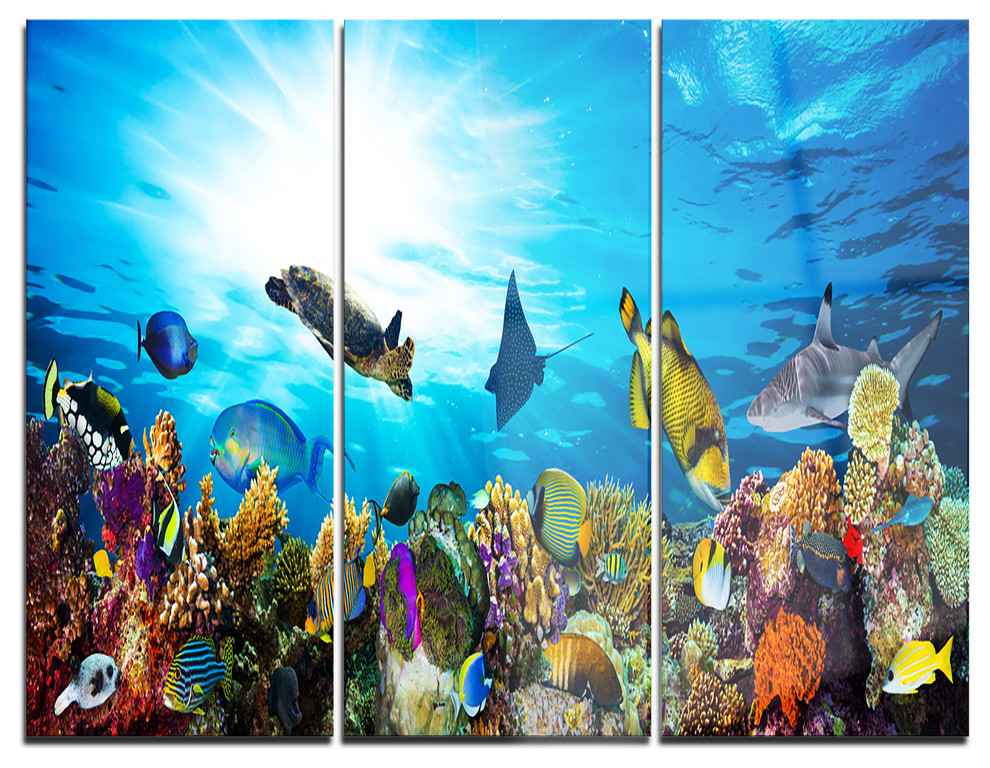 "Colorful Coral Reef With Fishes" Photo Metal Wall Art, 3 Panels, 36