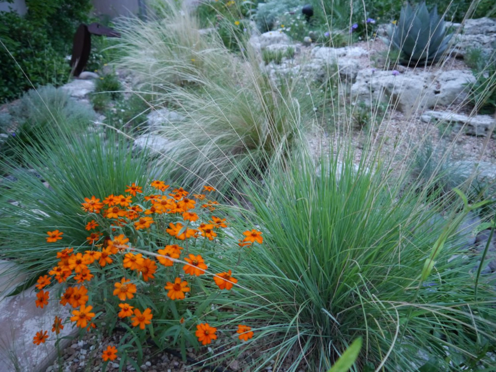 This is an example of a transitional landscaping in Raleigh.