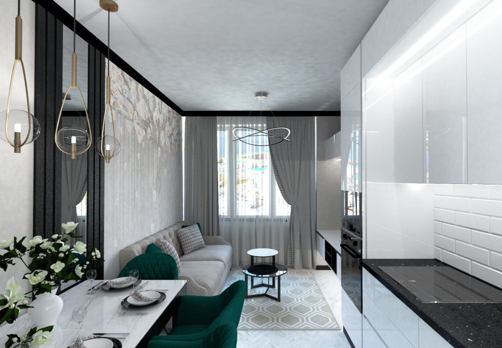 Концепция квартиры для двух дам