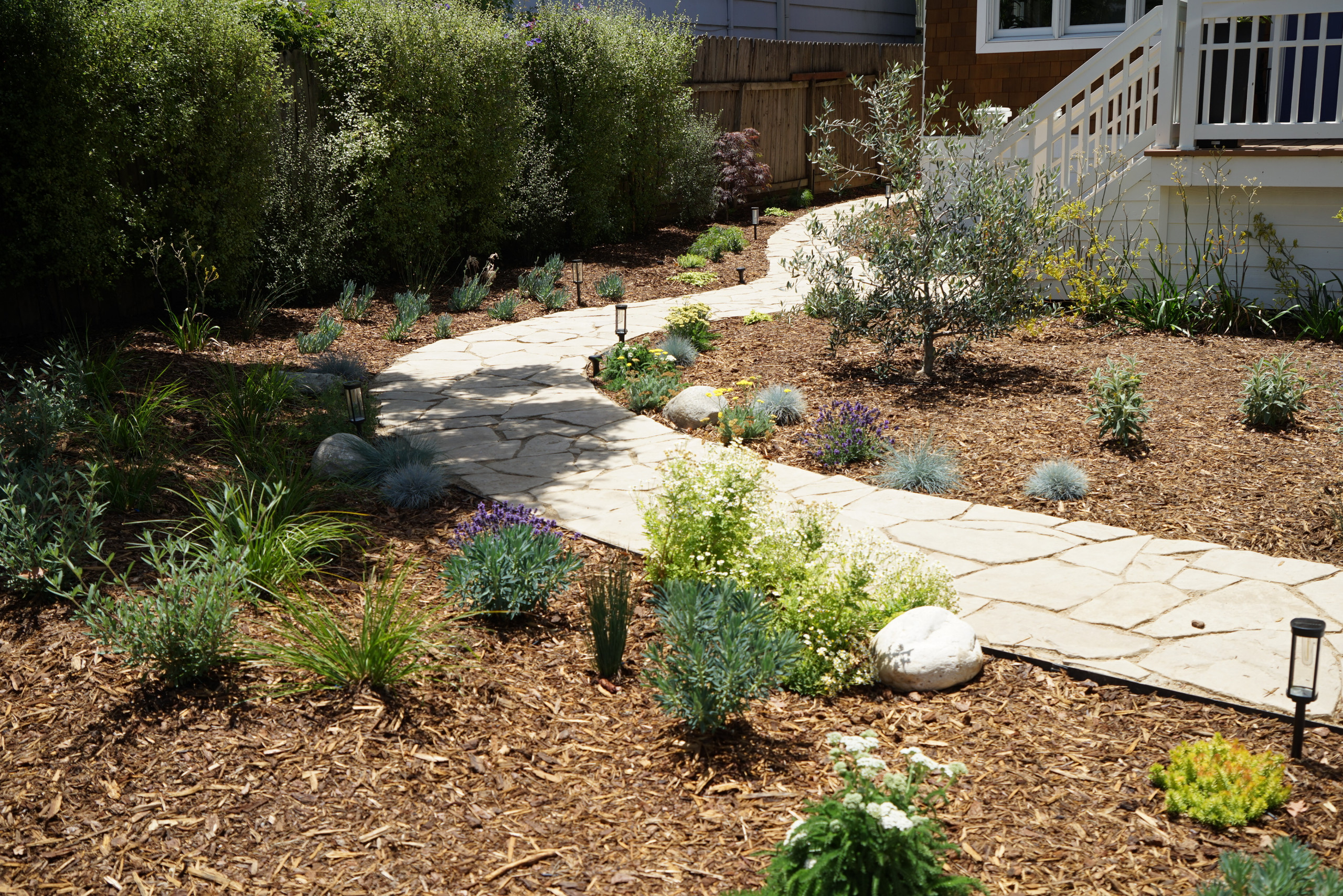 A Modern Take on the Cottage Garden
