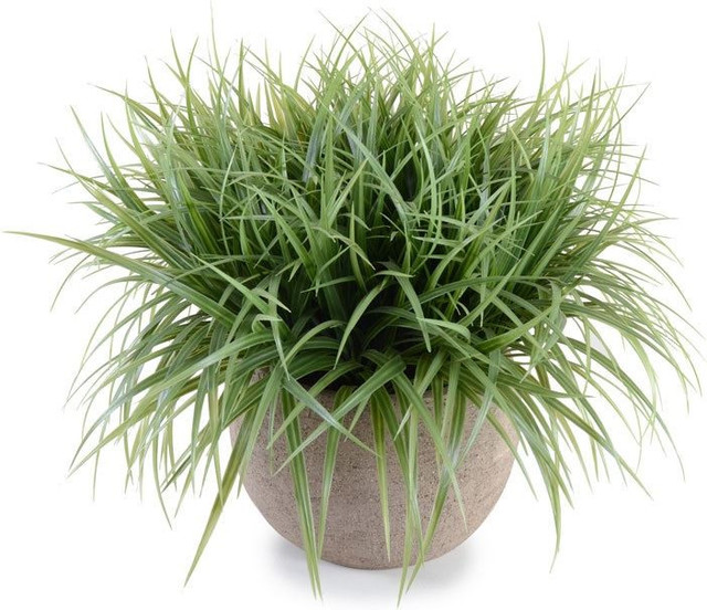 Ornamental Grass Artificial Flower Arrangements by Inside Stores