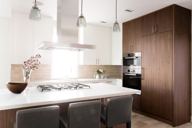 Contemporary Kitchen contemporary-koek