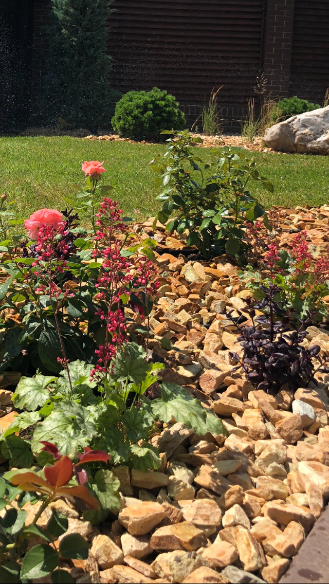 Проект «Новый свет»