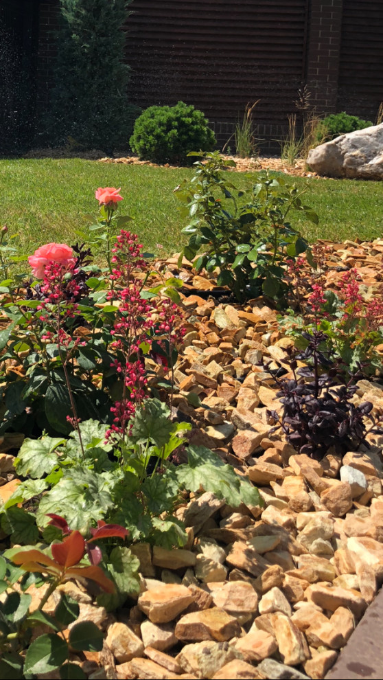 Проект «Новый свет»