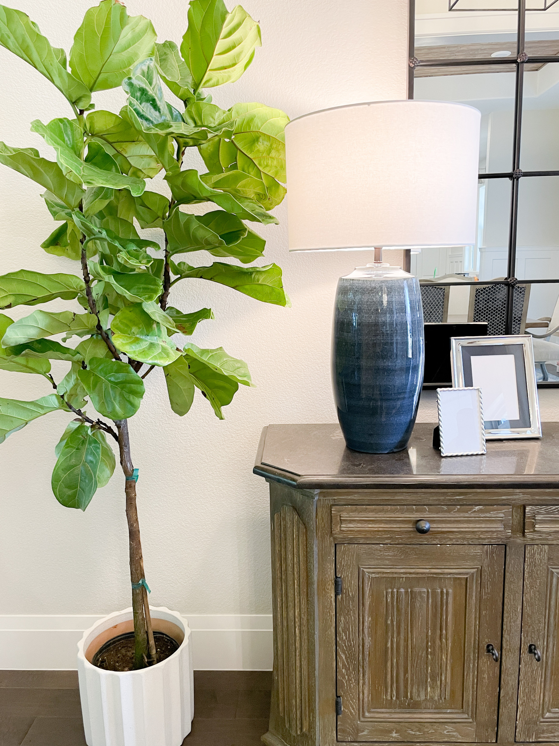 Lively Entryway