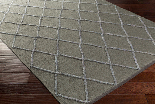 Ronco Flat Weave Moroccan Trellis Area Rug Contemporary Rugs By Hauteloom - Dark Green Flat Weave Rug Ronco Flat Weave Moroccan Trellis Area Rug Contemporary Rugs By Hauteloom - Dark Green Flat Weave Rug