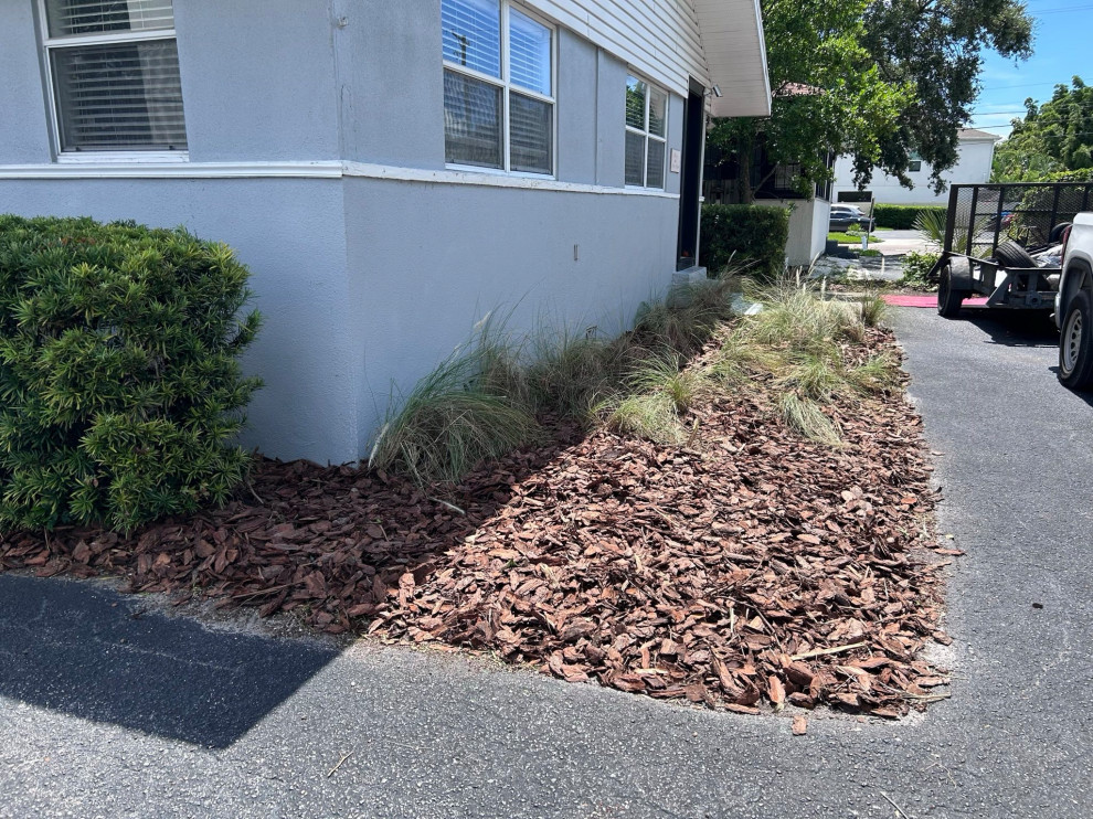 Law Office Landscape Revamp and Design