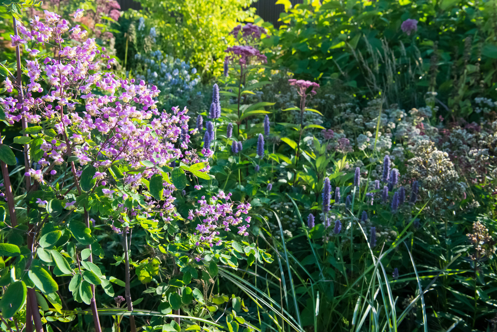 Большой сад в пригороде