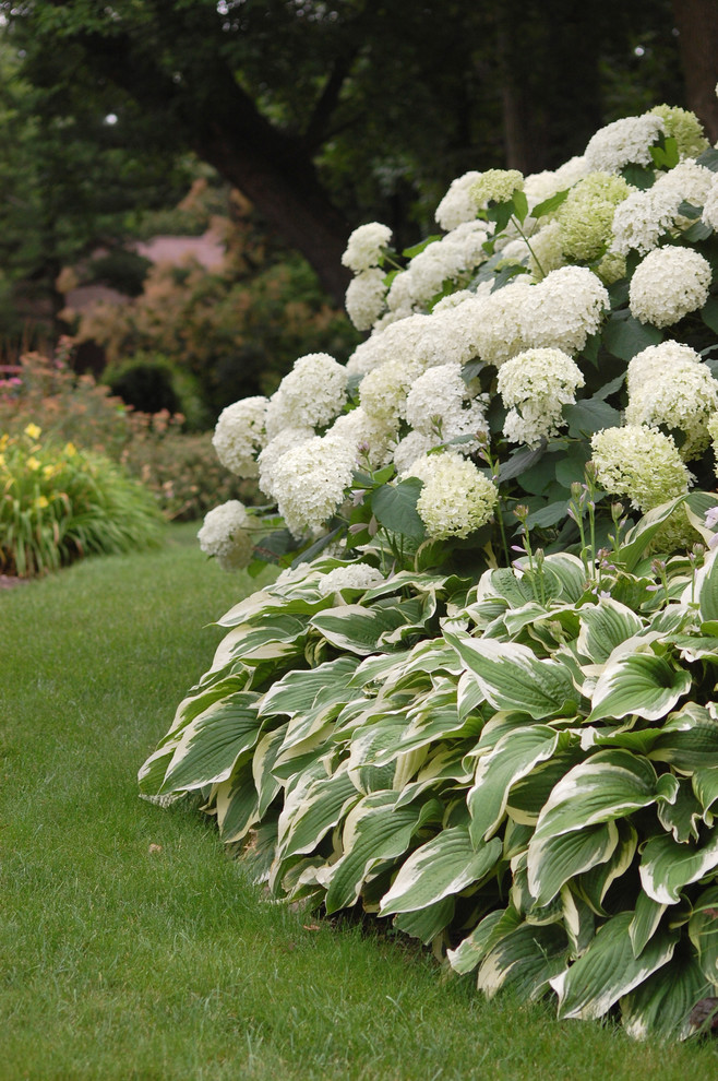 This is an example of a traditional shade front yard landscaping in Chicago.