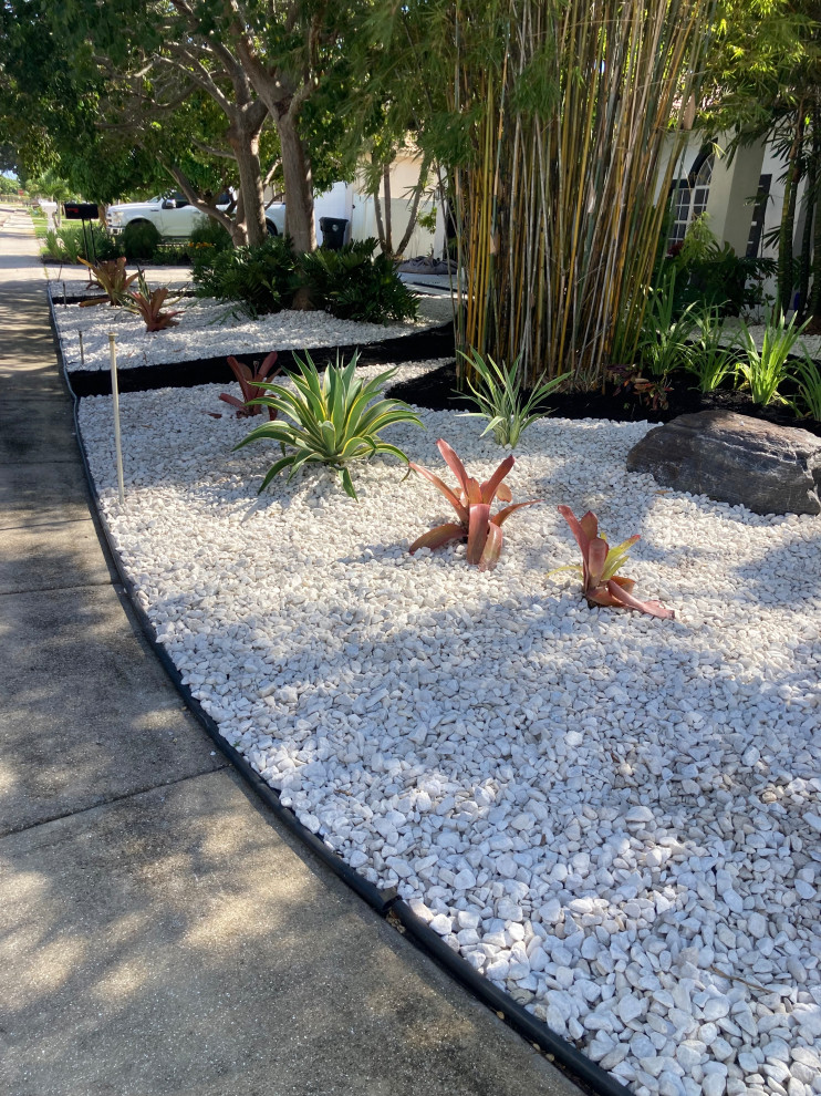 Modelo de jardín de secano exótico extra grande en verano en patio delantero con roca decorativa, exposición total al sol y piedra decorativa