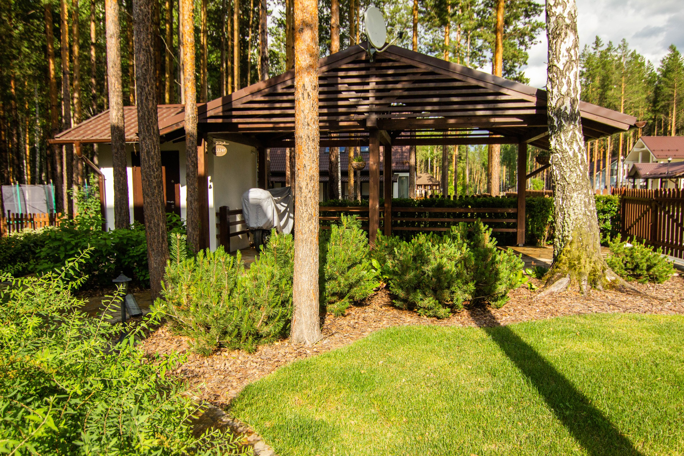 У леса на опушке