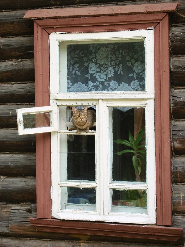 Сделать форточку в деревянном окне своими руками