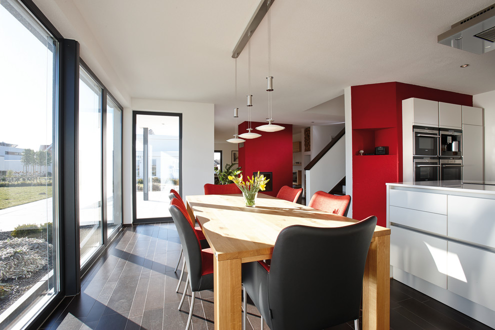 This is an example of a modern dining room in Other with red walls, terra-cotta floors, a wood stove and brown floor.