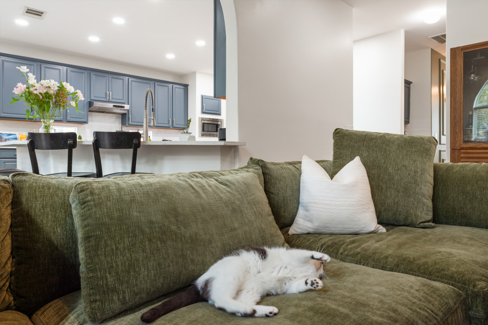 Cedar Park Eclectic-Cozy Living