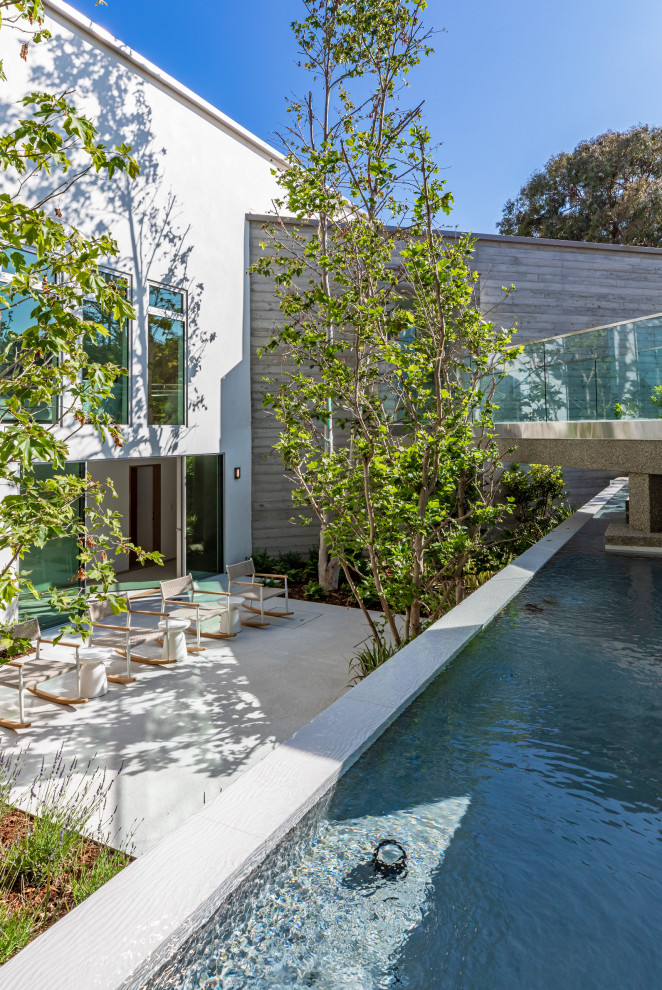 Pool - contemporary pool idea in Los Angeles
