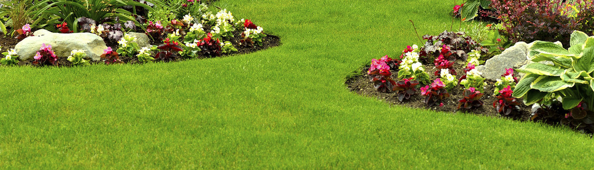 No Limit Landscaping Kennesaw Ga Us