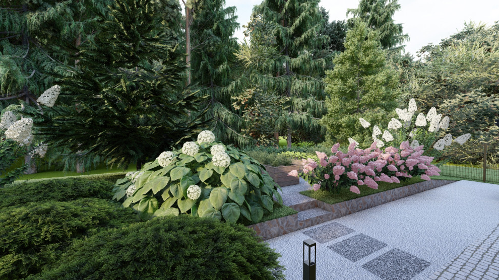 В ОБЪЯТИЯХ ЛЕСА