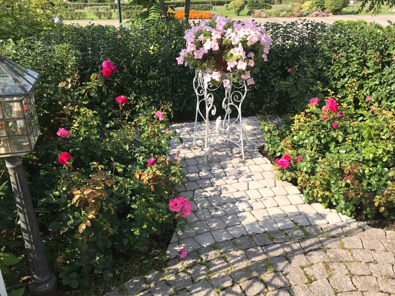 Сад на пятницком шоссе