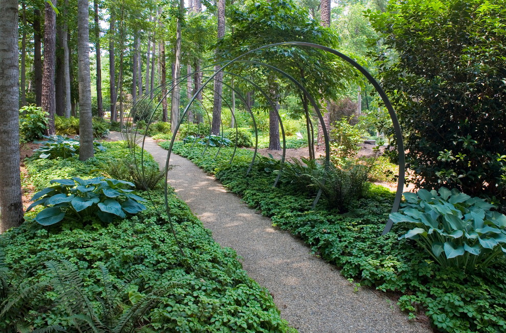 This is an example of a modern backyard shaded garden in Charlotte with gravel.