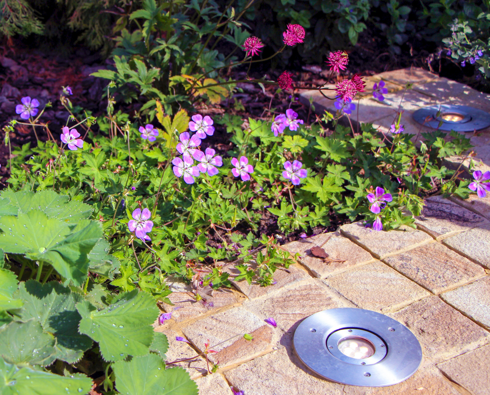 Павлово-2, 2015 г.