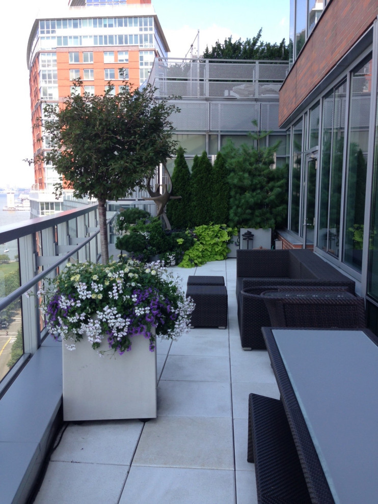 Battery Park City Terrace