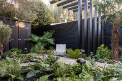 Yard of the Week: Small Leafy Haven With Year-Round Appeal