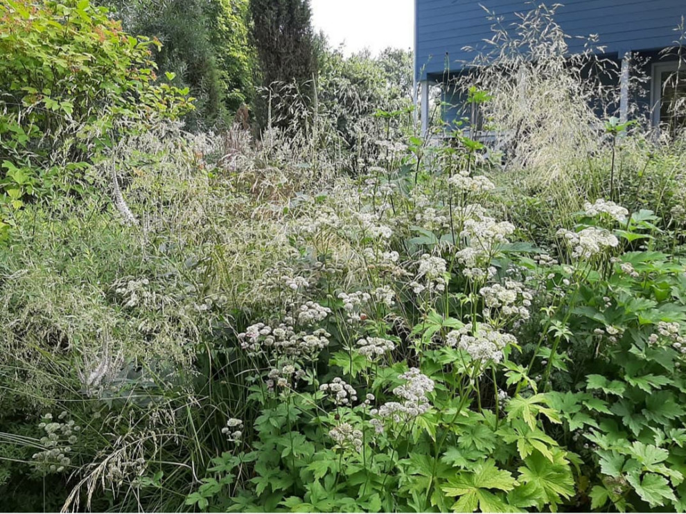 В духе ретро