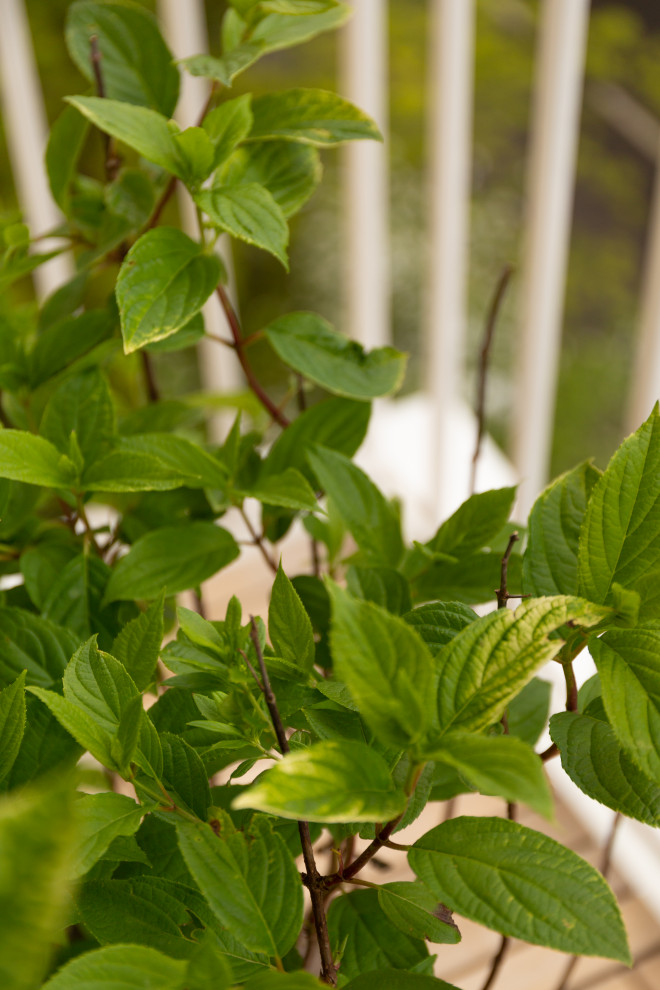 Сталинка в Москве