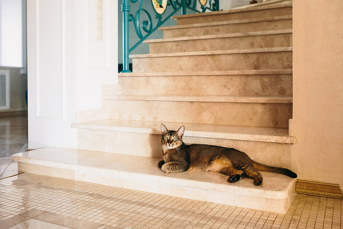 Классика с нотками востока в бирюзе