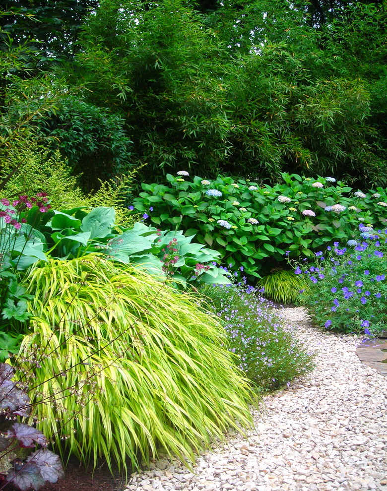 This is an example of a modern partial sun formal garden in Seattle.