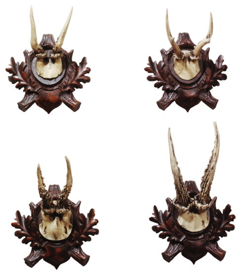 Resin Deer Horn Plaques, Set of 4 - Rustic - Wall Sculptures - by