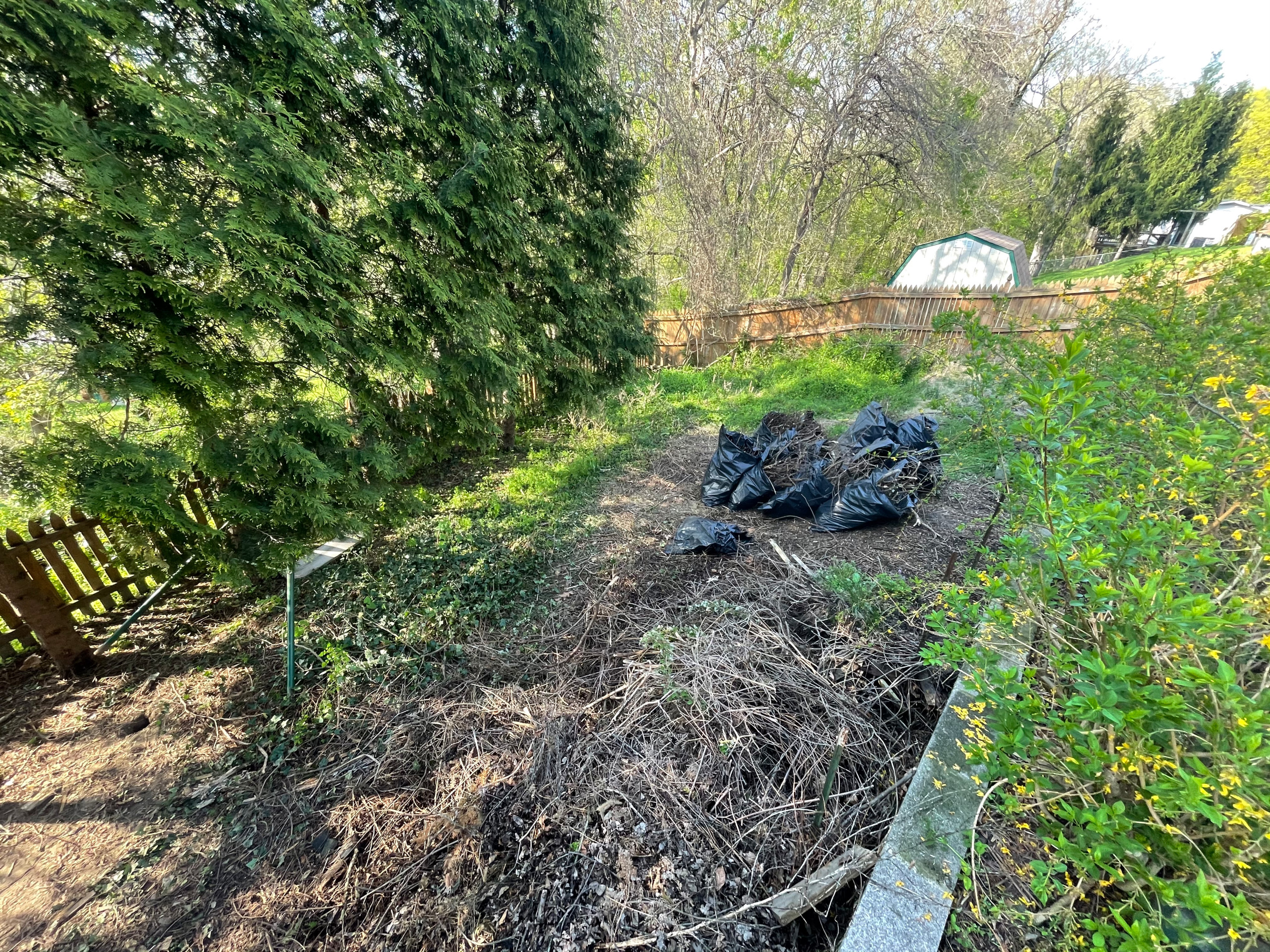 Playground demolition & bushes removal