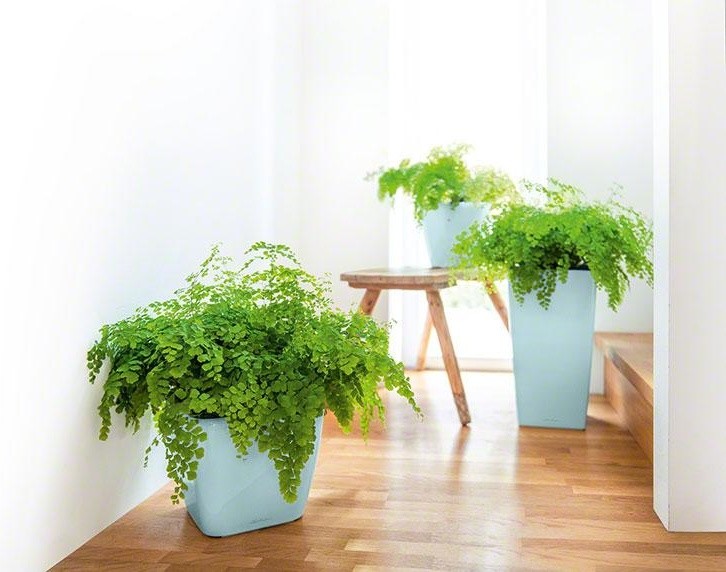 Классика дизайна