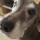 webuser_2606335